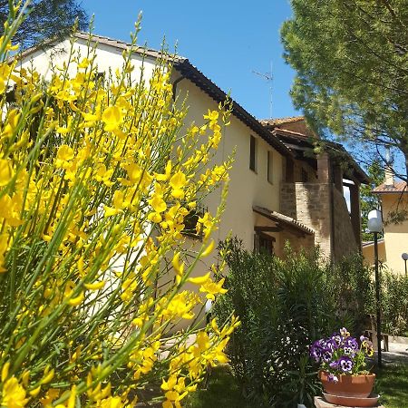Agriturismo La Ginestrella Civitella D'Arna Екстер'єр фото