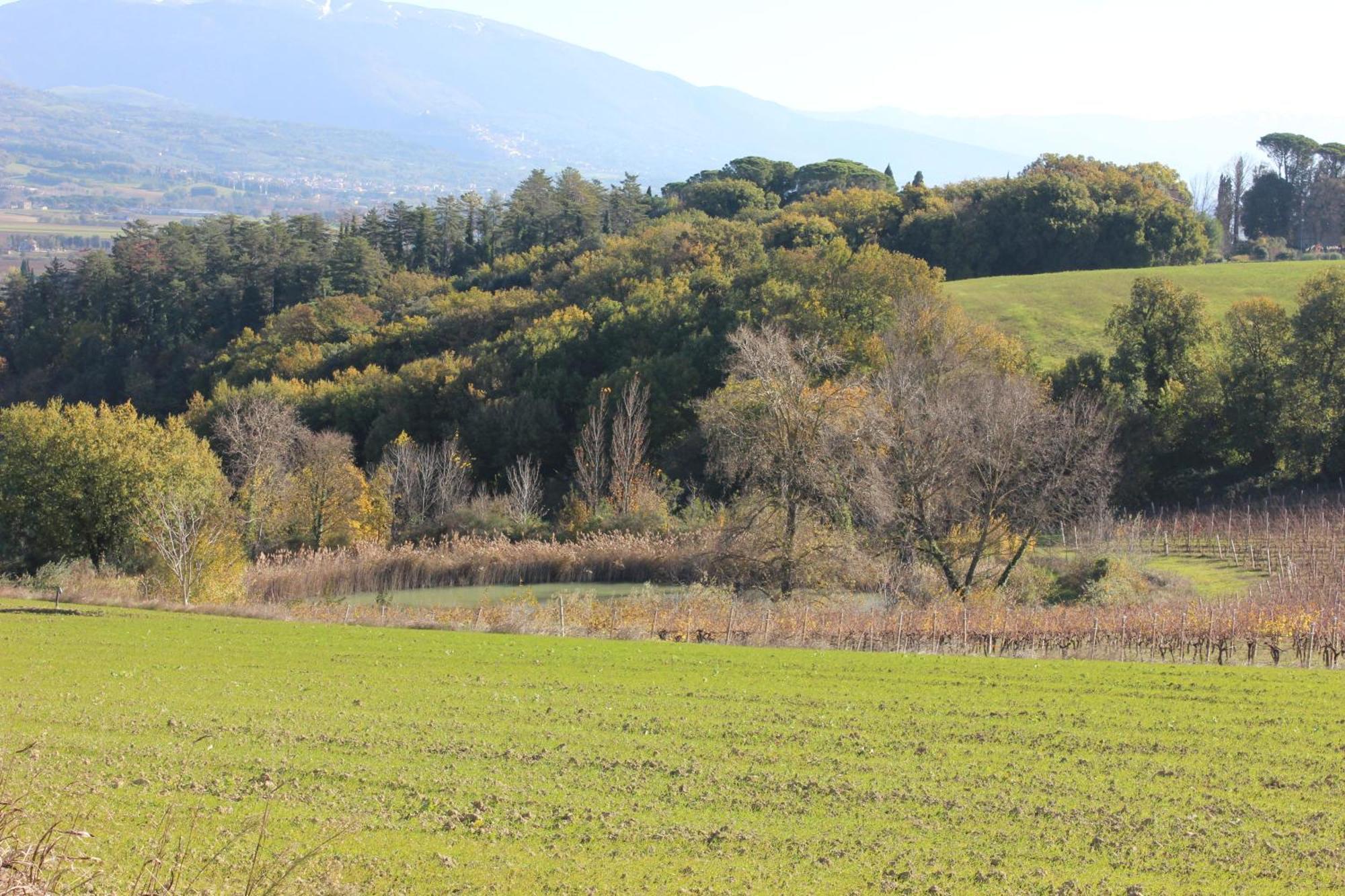 Agriturismo La Ginestrella Civitella D'Arna Екстер'єр фото