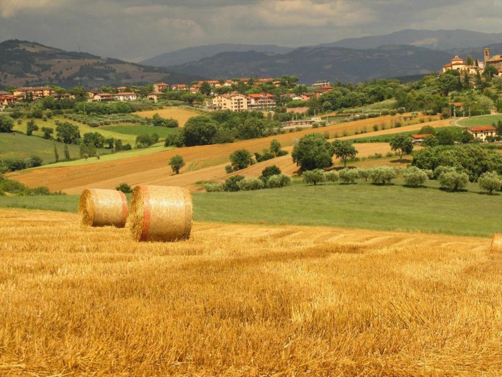 Agriturismo La Ginestrella Civitella D'Arna Екстер'єр фото